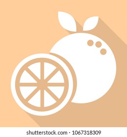 flat icons for fruits,Orange,vector illustrations