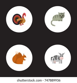 Flat Icons Gobbler, Chipmunk, Kitty And Other Vector Elements. Set Of Zoology Flat Icons Symbols Also Includes Animal, Chipmunk, Squirrel Objects.