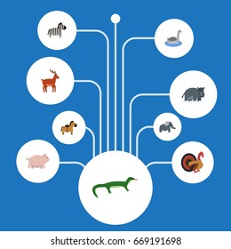 Flat Icons Gobbler, Hippopotamus, Moose And Other Vector Elements. Set Of Alive Flat Icons Symbols Also Includes Trunk, Bishop, Hippopotamus Objects.