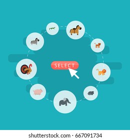 Flat Icons Gobbler, Horse, Hippopotamus And Other Vector Elements. Set Of Zoo Flat Icons Symbols Also Includes Wildcat, Lion, Hog Objects.