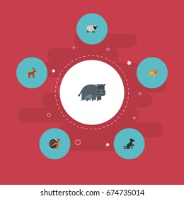 Flat Icons Gobbler, Hound, Hippopotamus And Other Vector Elements. Set Of Animal Flat Icons Symbols Also Includes Dog, Gazelle, Hound Objects.