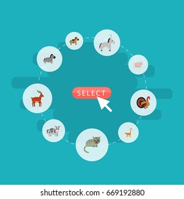 Flat Icons Gobbler, Moose, Kitty And Other Vector Elements. Set Of Alive Flat Icons Symbols Also Includes Camelopard, Cat, Horse Objects.