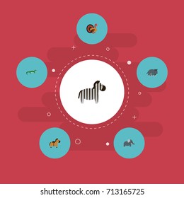 Flat Icons Gobbler, Pony, Hippopotamus And Other Vector Elements. Set Of Animal Flat Icons Symbols Also Includes Trunk, Pony, Zebra Objects.