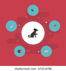 Flat Icons Gobbler, Rooster, Panther And Other Vector Elements. Set Of Zoo Flat Icons Symbols Also Includes Swine, Rooster, Hound Objects.