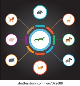 Flat Icons Hippopotamus, Swine, Pony And Other Vector Elements. Set Of Alive Flat Icons Symbols Also Includes Reptilian, Elephant, Swine Objects.