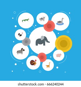 Flat Icons Horse, Reptile, Rooster And Other Vector Elements. Set Of Zoo Flat Icons Symbols Also Includes Cock, Animal, Mammal Objects.