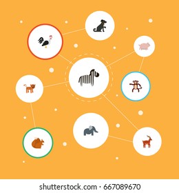 Flat Icons Horse, Swine, Trunked Animal And Other Vector Elements. Set Of Zoology Flat Icons Symbols Also Includes Gorilla, Swine, Squirrel Objects.