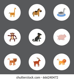 Flat Icons Hound, Camelopard, Waterbird And Other Vector Elements. Set Of Zoo Flat Icons Symbols Also Includes Pooch, Leopard, Pony Objects.