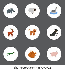 Flat Icons Hound, Swine, Trunked Animal And Other Vector Elements. Set Of Zoology Flat Icons Symbols Also Includes Gecko, Leopard, Mutton Objects.