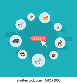 Flat Icons Jackass, Camelopard, Hippopotamus And Other Vector Elements. Set Of Animal Flat Icons Symbols Also Includes Gorilla, Leopard, Giraffe Objects.