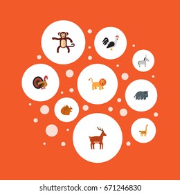 Flat Icons Jackass, Chimpanzee, Camelopard And Other Vector Elements. Set Of Zoology Flat Icons Symbols Also Includes Squirrel, Rooster, Behemoth Objects.