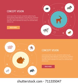 Flat Icons Jackass, Kine, Pony And Other Vector Elements. Set Of Animal Flat Icons Symbols Also Includes Pig, Donkey, Nut Objects.
