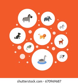 Flat Icons Jackass, Mutton, Kitty And Other Vector Elements. Set Of Zoo Flat Icons Symbols Also Includes Elephant, Pooch, Waterbird Objects.