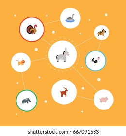 Flat Icons Jackass, Waterbird, Wildcat And Other Vector Elements. Set Of Animal Flat Icons Symbols Also Includes Moose, Horse, Animal Objects.