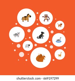 Flat Icons Kine, Pony, Waterbird And Other Vector Elements. Set Of Animal Flat Icons Symbols Also Includes Nut, Pony, Monkey Objects.