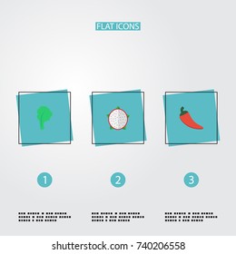 Flat Icons Lettuce, Hot Pepper, Pitaya And Other Vector Elements. Set Of Berry Flat Icons Symbols Also Includes Salad, Pepper, Lettuce Objects.