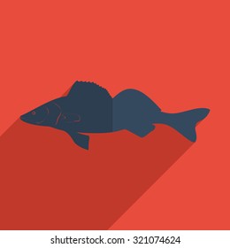 Flat icons modern design with shadow of zander. Vector illustration