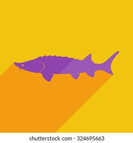 Flat icons modern design with shadow of sturgeon. Vector illustration