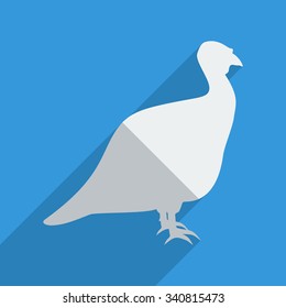 Flat icons modern design with shadow of turkey. Vector illustration