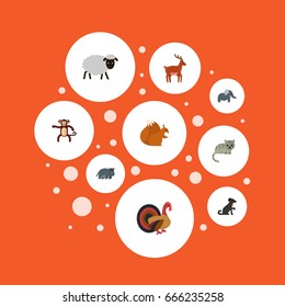 Flat Icons Moose, Mutton, Hound And Other Vector Elements. Set Of Zoology Flat Icons Symbols Also Includes Chimpanzee, Kitty, Moose Objects.