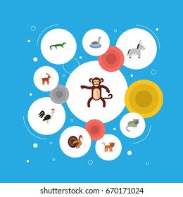 Flat Icons Moose, Reptile, Kitty And Other Vector Elements. Set Of Zoology Flat Icons Symbols Also Includes Jackass, Chimpanzee, Donkey Objects.