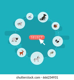 Flat Icons Mutton, Waterbird, Kine And Other Vector Elements. Set Of Zoo Flat Icons Symbols Also Includes Donkey, Horse, Dog Objects.