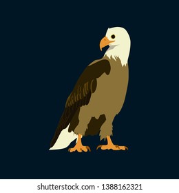 flat icons on theme of Andorra eagle