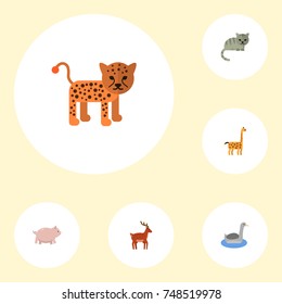 Flat Icons Panther, Moose, Waterbird And Other Vector Elements. Set Of Alive Flat Icons Symbols Also Includes Waterbird, Kitty, Pig Objects.