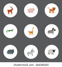 Flat Icons Panther, Mutton, Swine And Other Vector Elements. Set Of Zoology Flat Icons Symbols Also Includes Panther, Mutton, Gecko Objects.