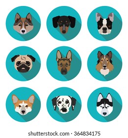 flat icons of pedigree dogs in vector format eps10