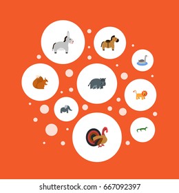 Flat Icons Pony, Hippopotamus, Chipmunk And Other Vector Elements. Set Of Zoology Flat Icons Symbols Also Includes Gecko, Behemoth, Neck Objects.