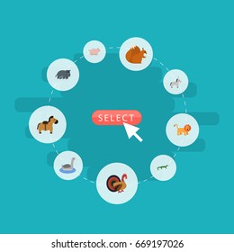 Flat Icons Reptile, Pony, Chipmunk And Other Vector Elements. Set Of Alive Flat Icons Symbols Also Includes Squirrel, Cock, Pony Objects.