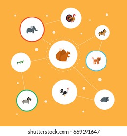 Flat Icons Reptile, Pony, Rooster And Other Vector Elements. Set Of Alive Flat Icons Symbols Also Includes Horse, Trunk, Turkey Objects.