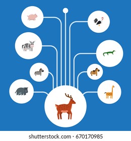 Flat Icons Rooster, Hippopotamus, Horse And Other Vector Elements. Set Of Zoology Flat Icons Symbols Also Includes Animal, Zebra, Reptile Objects.