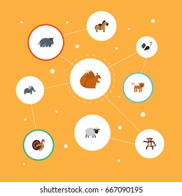 Flat Icons Rooster, Panther, Gobbler And Other Vector Elements. Set Of Zoo Flat Icons Symbols Also Includes Elephant, Monkey, Rooster Objects.