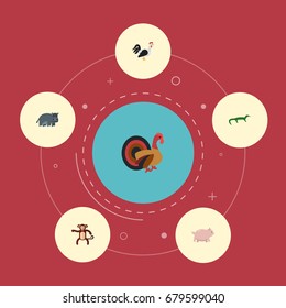 Flat Icons Rooster, Swine, Gobbler And Other Vector Elements. Set Of Zoology Flat Icons Symbols Also Includes Hog, Reptilian, Chimpanzee Objects.