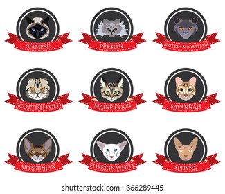 flat icons set of pedigreed cats with the names in vector format eps10