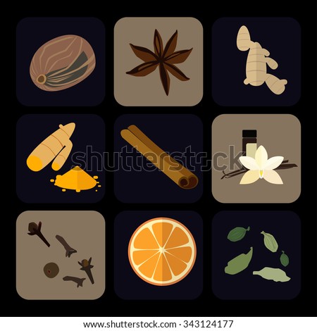 Flat icons set of popular spices.