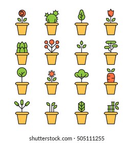 Flat icons set of pot plants garden