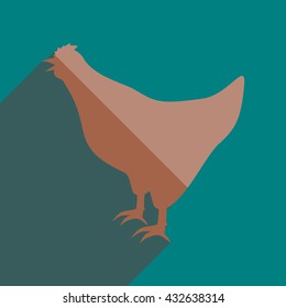 Flat icons with shadow of hen. Vector illustration