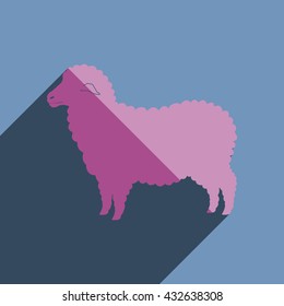 Flat icons with shadow of sheep. Vector illustration