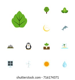 Flat Icons Sunshine, Emperor, Wood And Other Vector Elements. Set Of Nature Flat Icons Symbols Also Includes Playful, Leaf, Panel Objects.