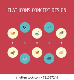 Flat Icons Swine, Hippopotamus, Kine And Other Vector Elements. Set Of Alive Flat Icons Symbols Also Includes Kitty, Reptilian, Swine Objects.