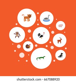 Flat Icons Swine, Rooster, Moose And Other Vector Elements. Set Of Zoo Flat Icons Symbols Also Includes Leopard, Bird, Gorilla Objects.