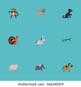 Flat Icons Trunked Animal, Reptile, Gobbler And Other Vector Elements. Set Of Zoology Flat Icons Symbols Also Includes Cat, Kitty, Reptilian Objects.