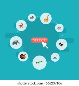 Flat Icons Trunked Animal, Waterbird, Reptile And Other Vector Elements. Set Of Zoology Flat Icons Symbols Also Includes Moose, Rooster, Waterbird Objects.