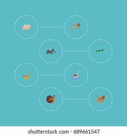 Flat Icons Trunked Animal, Waterbird, Reptile And Other Vector Elements. Set Of Zoology Flat Icons Symbols Also Includes Goose, Cock, Feline Objects.