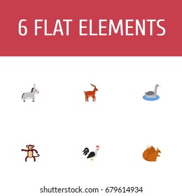Flat Icons Waterbird, Jackass, Chipmunk And Other Vector Elements. Set Of Zoology Flat Icons Symbols Also Includes Gazelle, Jackass, Horse Objects.