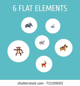Flat Icons Waterbird, Pony, Trunked Animal And Other Vector Elements. Set Of Animal Flat Icons Symbols Also Includes Moose, Kine, Deer Objects.