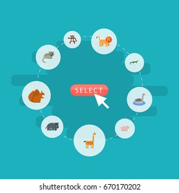 Flat Icons Wildcat, Swine, Chimpanzee And Other Vector Elements. Set Of Zoology Flat Icons Symbols Also Includes Hippopotamus, Reptilian, Pig Objects.
